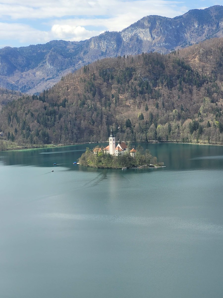 Daily Picture Theme tweet media