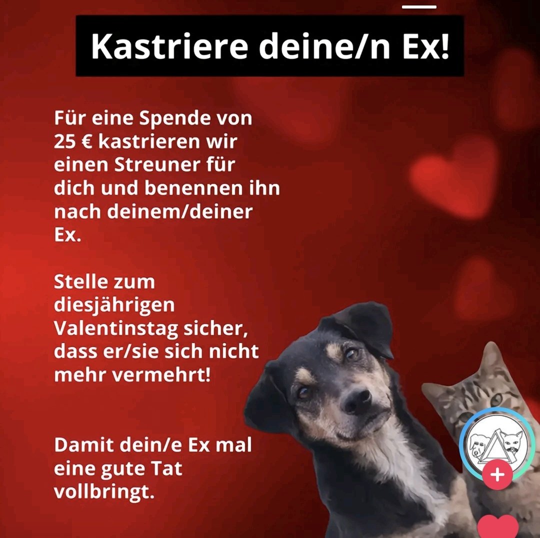Bin kein Fan von Fuckindienstag, aber.....