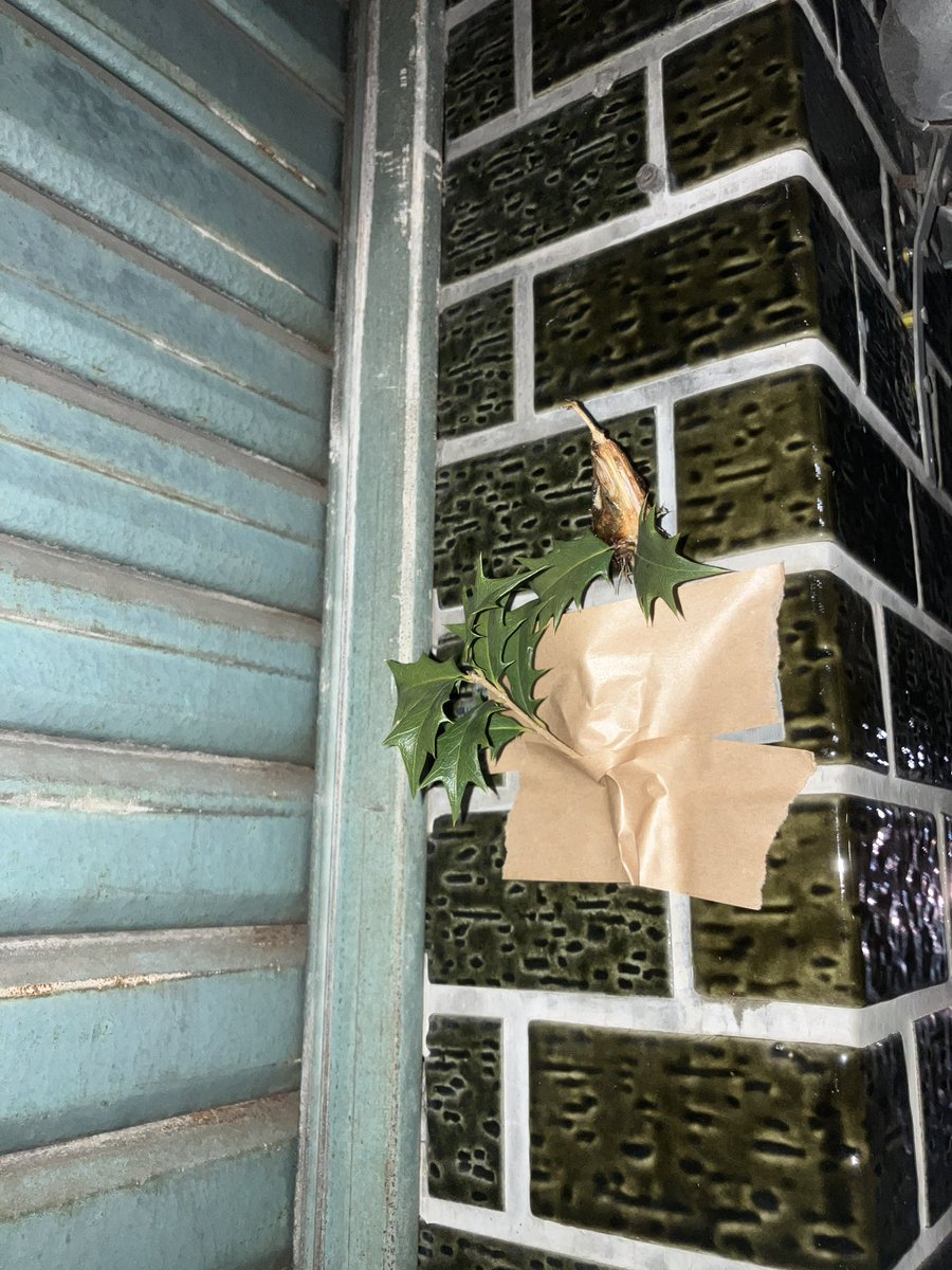 実家の玄関を開けると豆まきの跡。壁には柊鰯。母に聞けば「鬼は〜外、福は〜内やったよ」と、もぐもぐ豆を食べるジェスチャーをしながら教えてくれた。お母さんがこの1年も健康で過ごせますように。