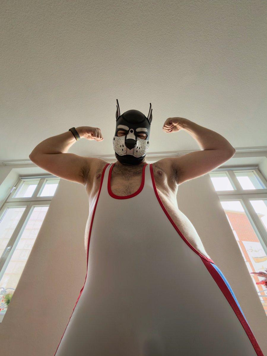 Cooperthepup21's tweet photo. Who is my good boy and want some bone? 🦴 😈
#pupplay #singlet #gay #bulge #bulgecheck https://t.co/n1w39GMYKh