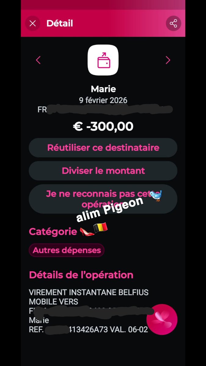 Salim Pigeon 3K🐦👠🇧🇪 tweet media