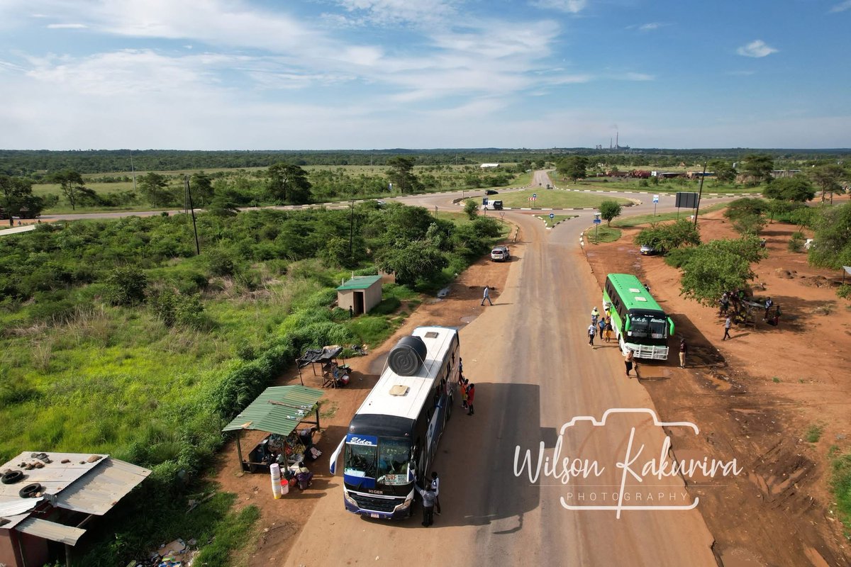 Zimviral 𝕏 tweet media