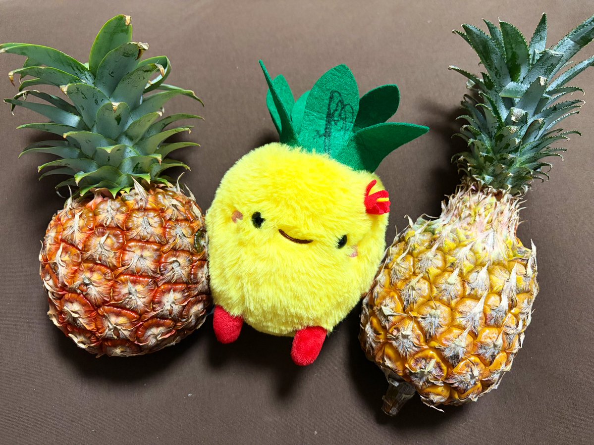 左から ピーチパイン🍍 パインちゃん🍍 スナックパイン🍍
