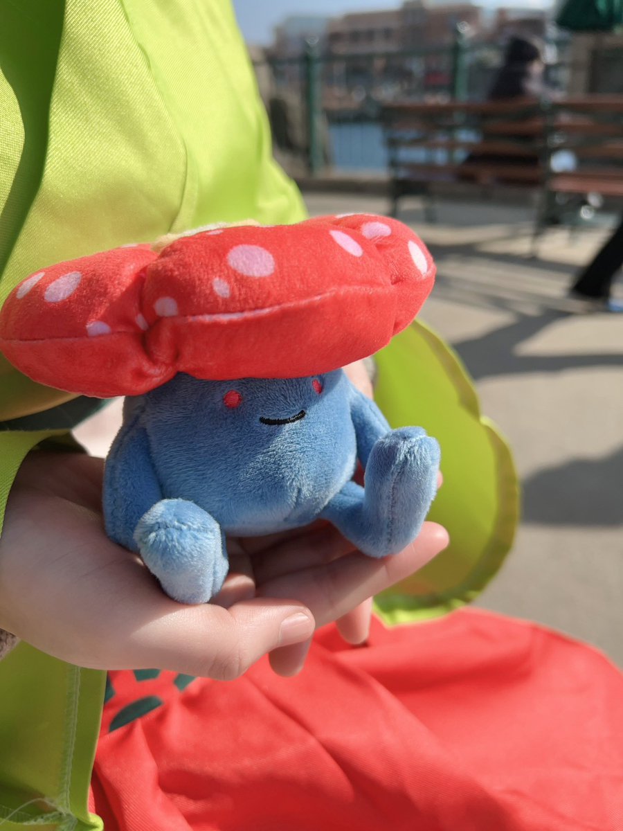 Cosplay
ポケットモンスター/エリカ

ここにも綺麗なお花が咲いておりましたの🌷´-