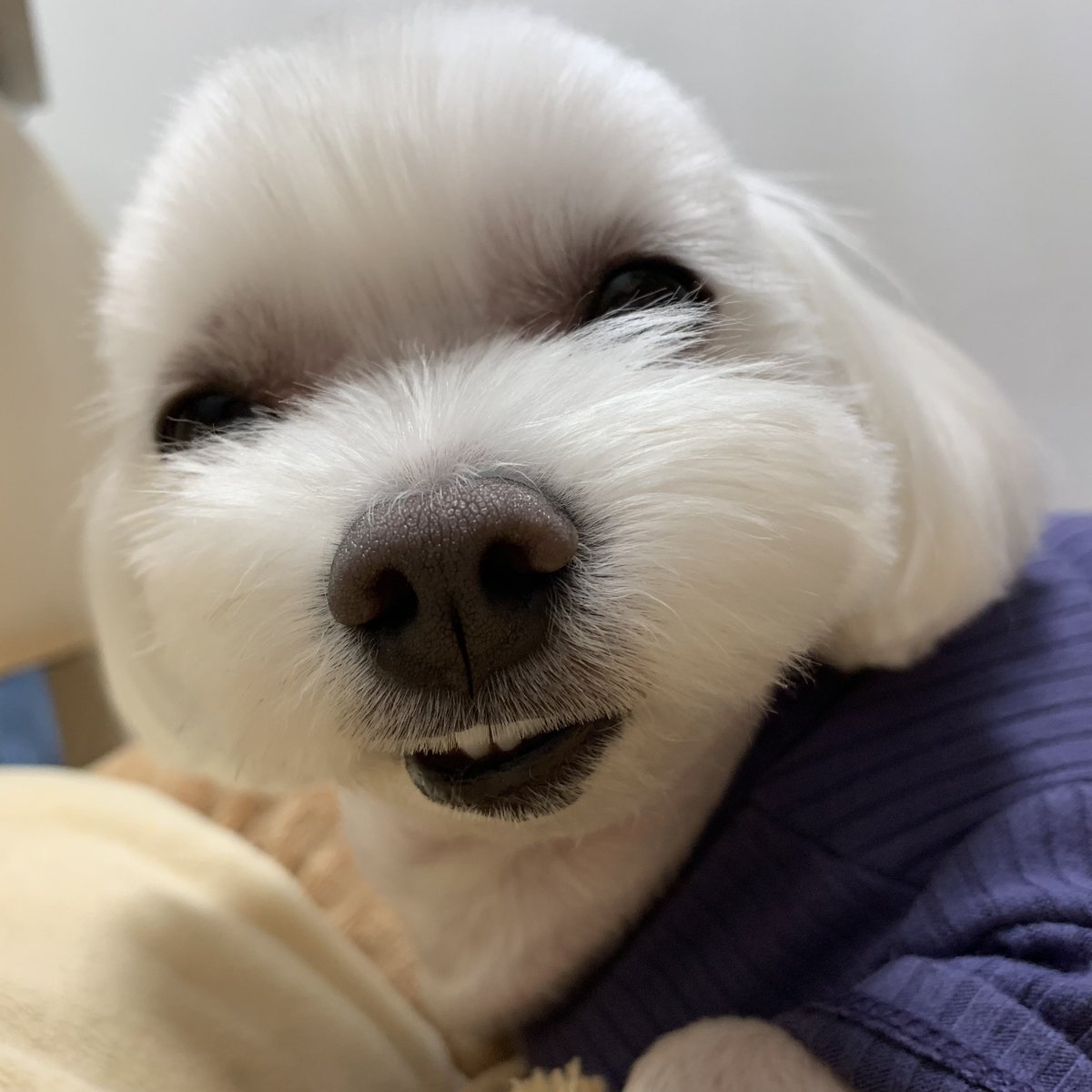 YoonsikM's tweet photo. 웃기게 생긴 https://t.co/tlBzjHHqfR