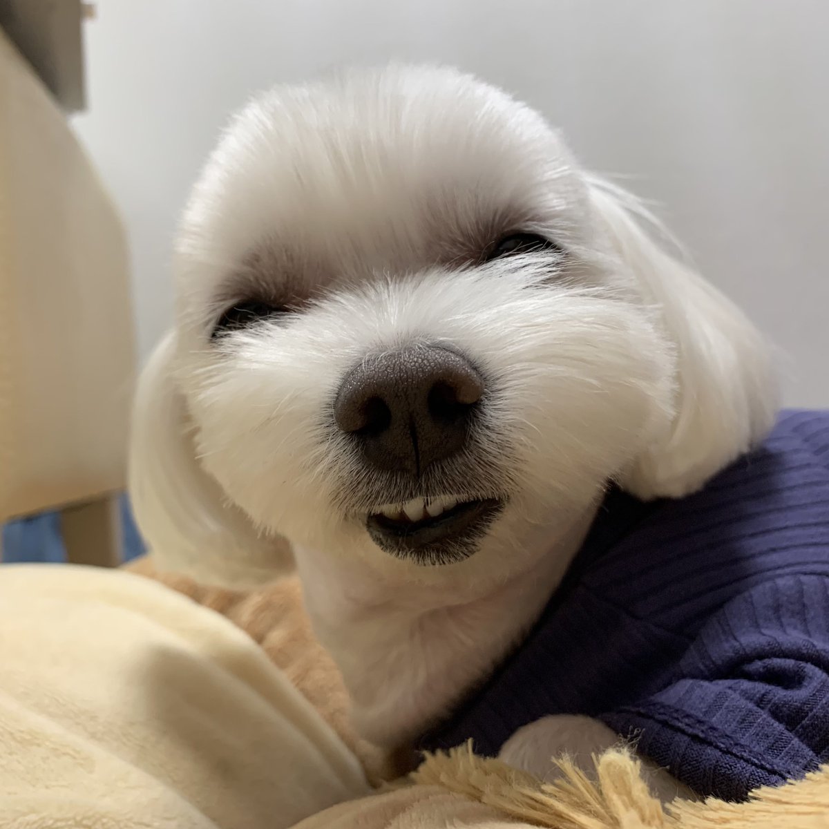 YoonsikM's tweet photo. 웃기게 생긴 https://t.co/tlBzjHHqfR