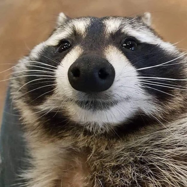 wооya ☔️ tweet media