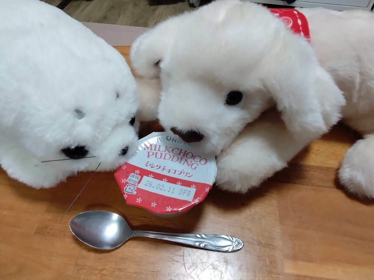 にゃー吉 (@nya_kichi_1215) / Posts / X