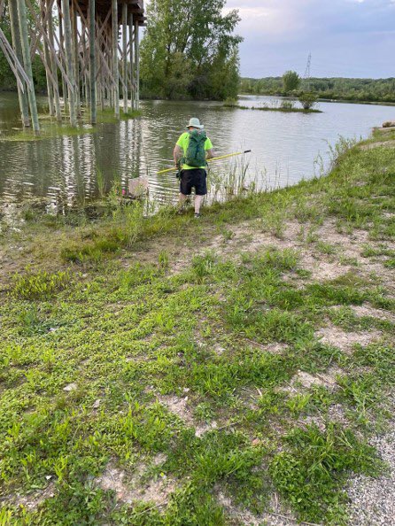 Diversity & Distributions tweet media