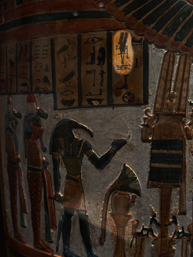 Tian Tian 𓁟𓁨𓅬𓁰 tweet media