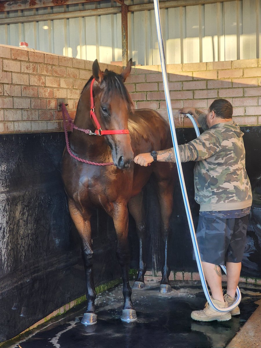 Eeyore Lodge Racing tweet media