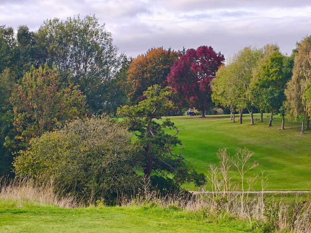 Oundle Golf Club tweet media