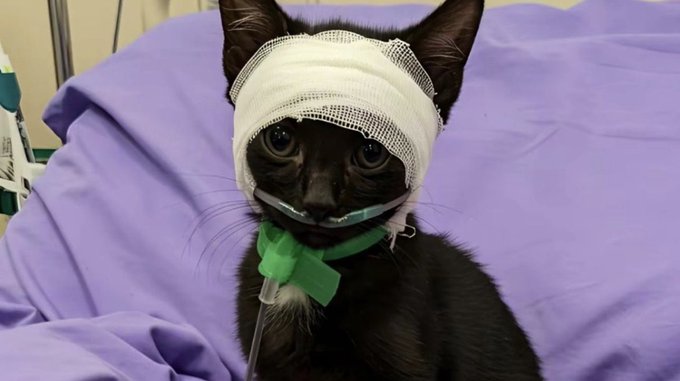 olurunbu's tweet image. Görsele tıkladığınızda sürpriz çıkacak