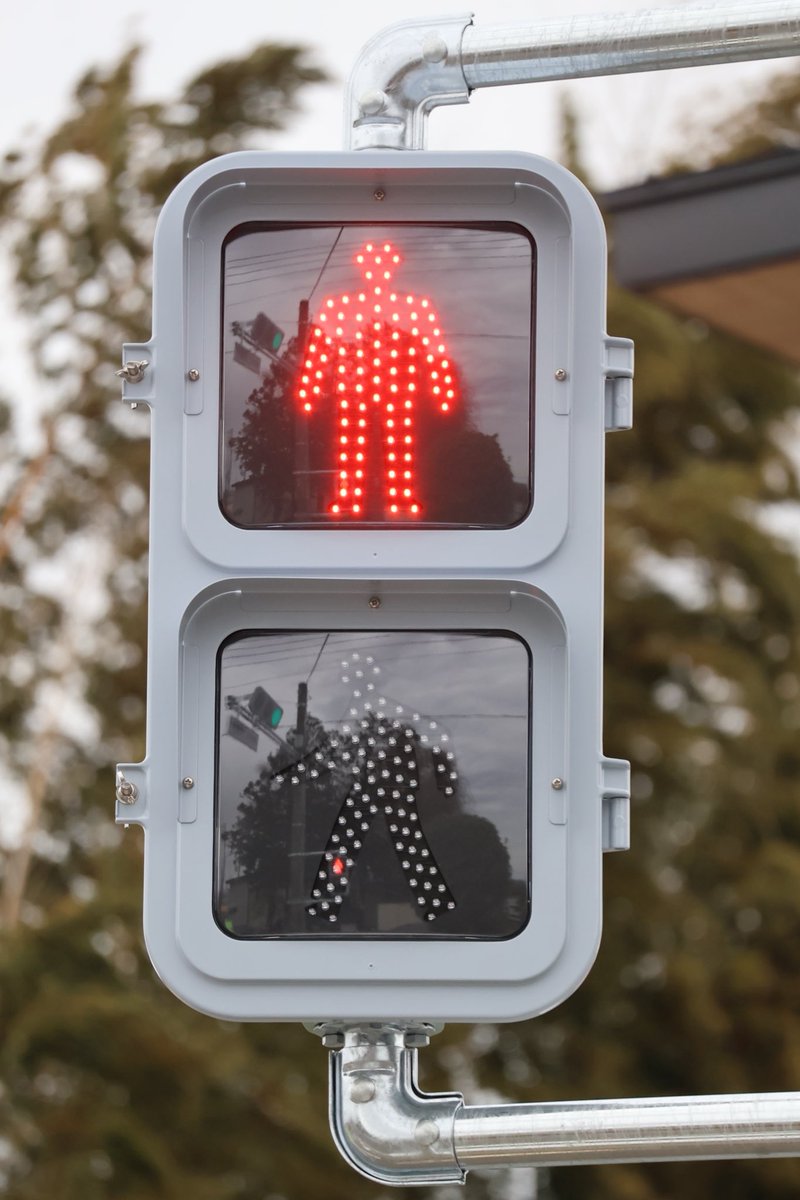 福島県信号機更新情報】 岩瀬郡鏡石町大字羽鳥の押しボタン式信号桜は