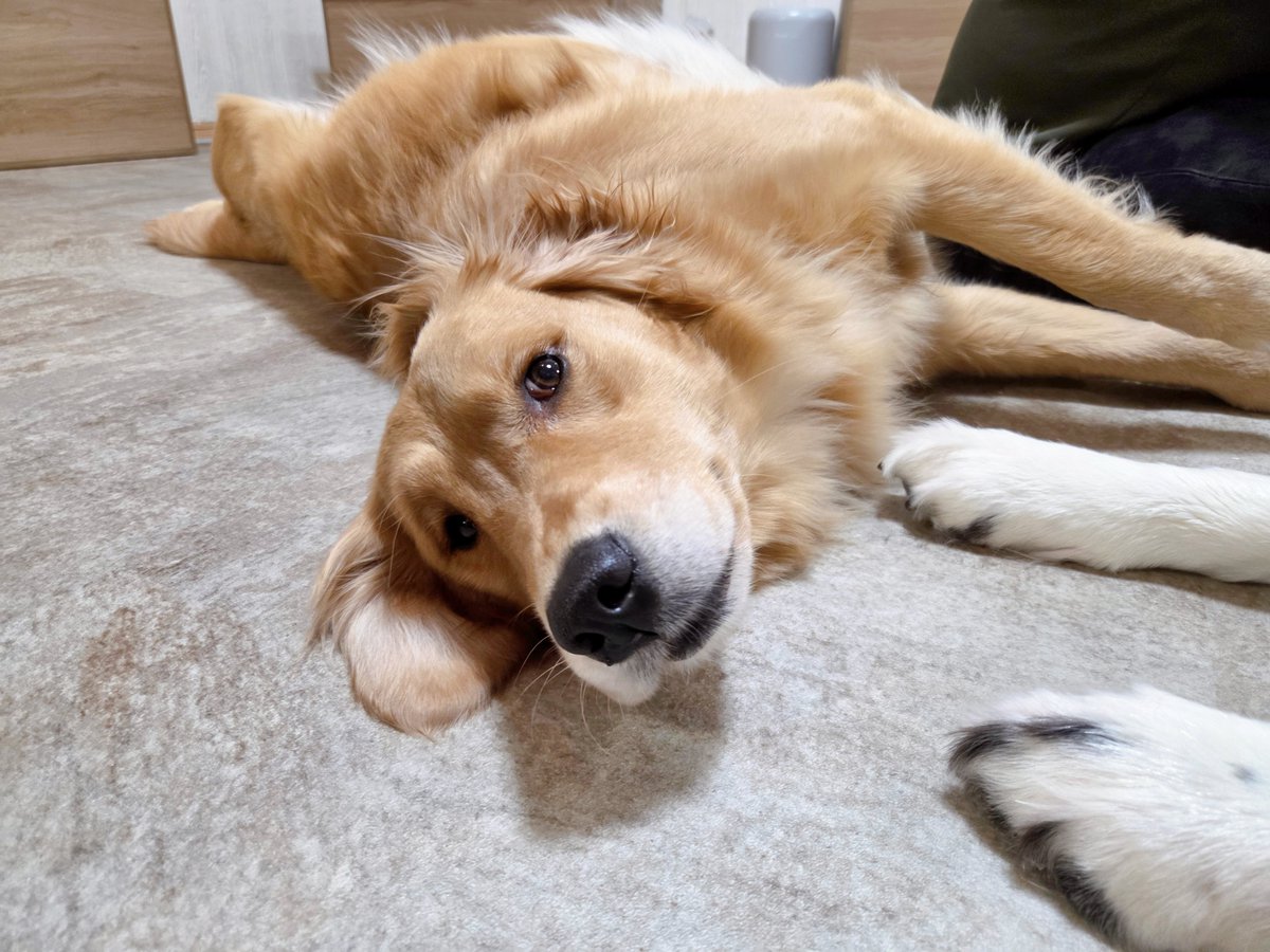 さざなみ (@3373now) / Posts / X