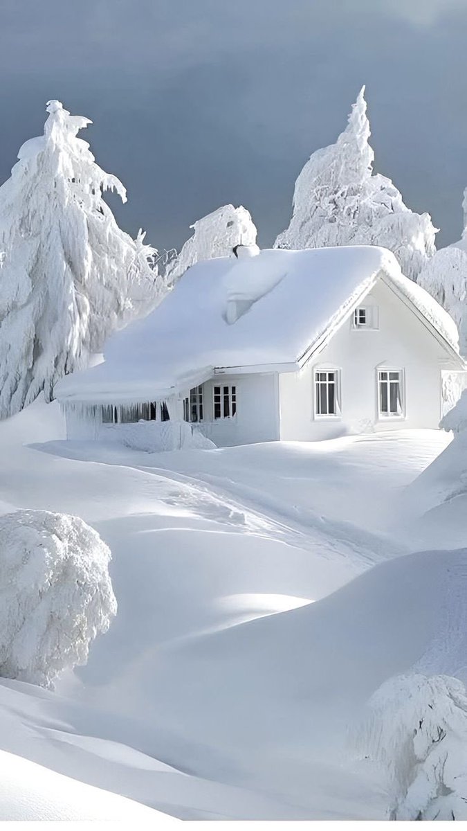 Beutiful world tweet media