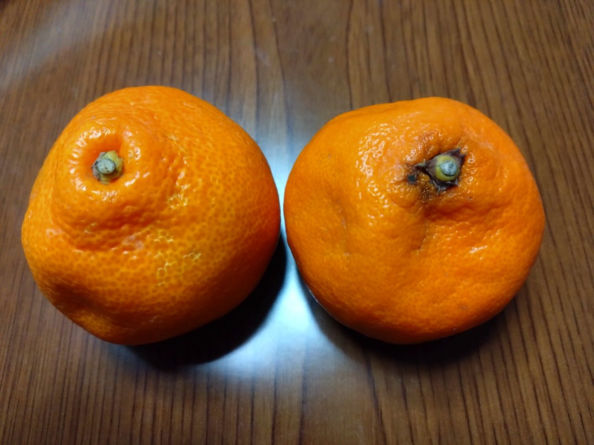 しなぶげでる…。

今日もお疲れ様でした。
