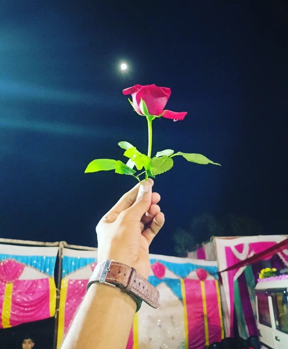 BhadanaShi43508's tweet photo. मेरी जिंदगी का हर गुलाब
तुम्हारे लिए माँ ❤️❤️
#Rose_Day https://t.co/UOFNeAx9xC
