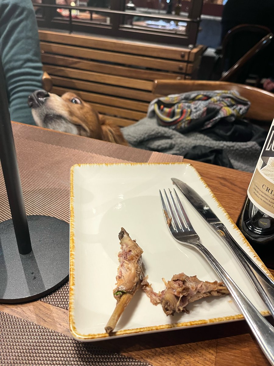 Normalerweise bleibe ich ja im Restorang brav unter‘m Tisch liegen wenn die Menschen ihre Leckerlis bekommen. 😇Aber wenn der Duft von Kaninchen an meine Nase dringt dann muß ich doch mal nach dem rechten sehen. 🧐