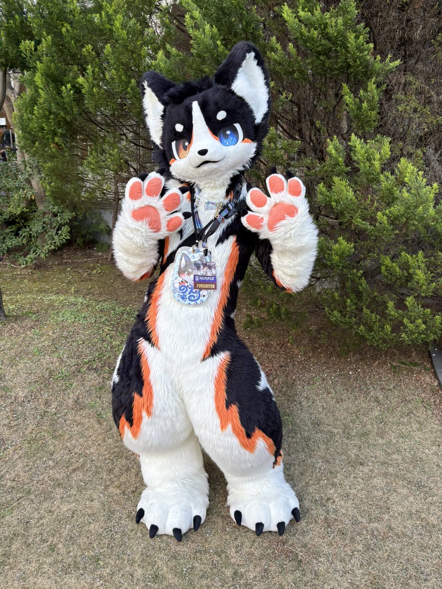 みんな可愛い✨ #JMoF2026