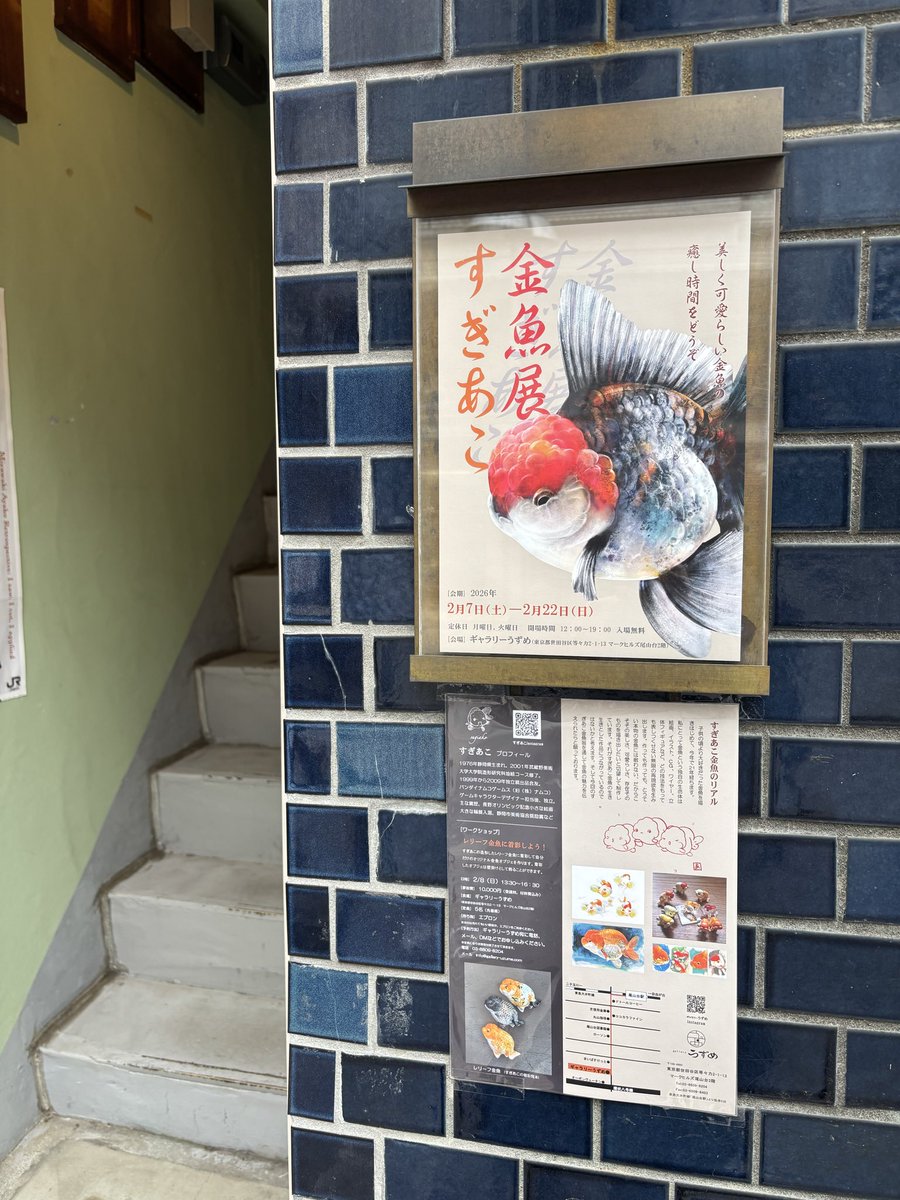 sugiako_'s tweet photo. すぎあこ金魚展
今日から始まりました。
東急大井町線尾山台駅から南に徒歩4〜5分
青いタイルにあるチラシが目印
すぐ横の階段を登って2階にあるギャラリーです。
明日はワークショップがあります。
雪の予報ですので、お足元に気をつけていらしてください。 https://t.co/jbiebFpMGp