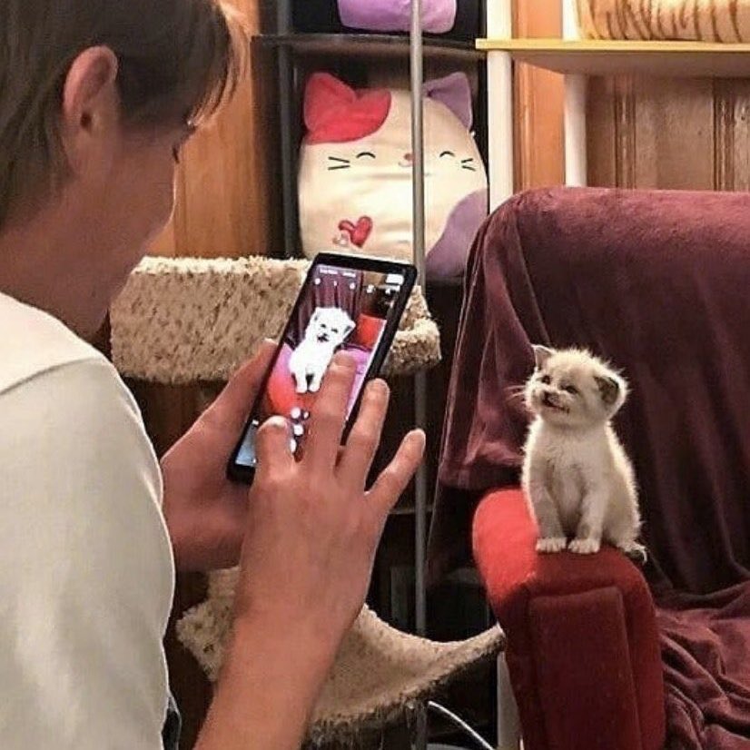 rosieapeach's tweet image. 🫳🏻🫳🏻🫳🏻🫳🏻🫳🏻