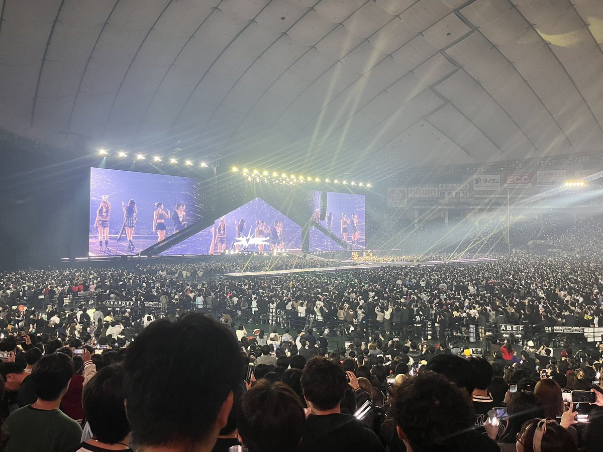 スタ/LSF🐯🐱🐶🦢🐥 tweet media