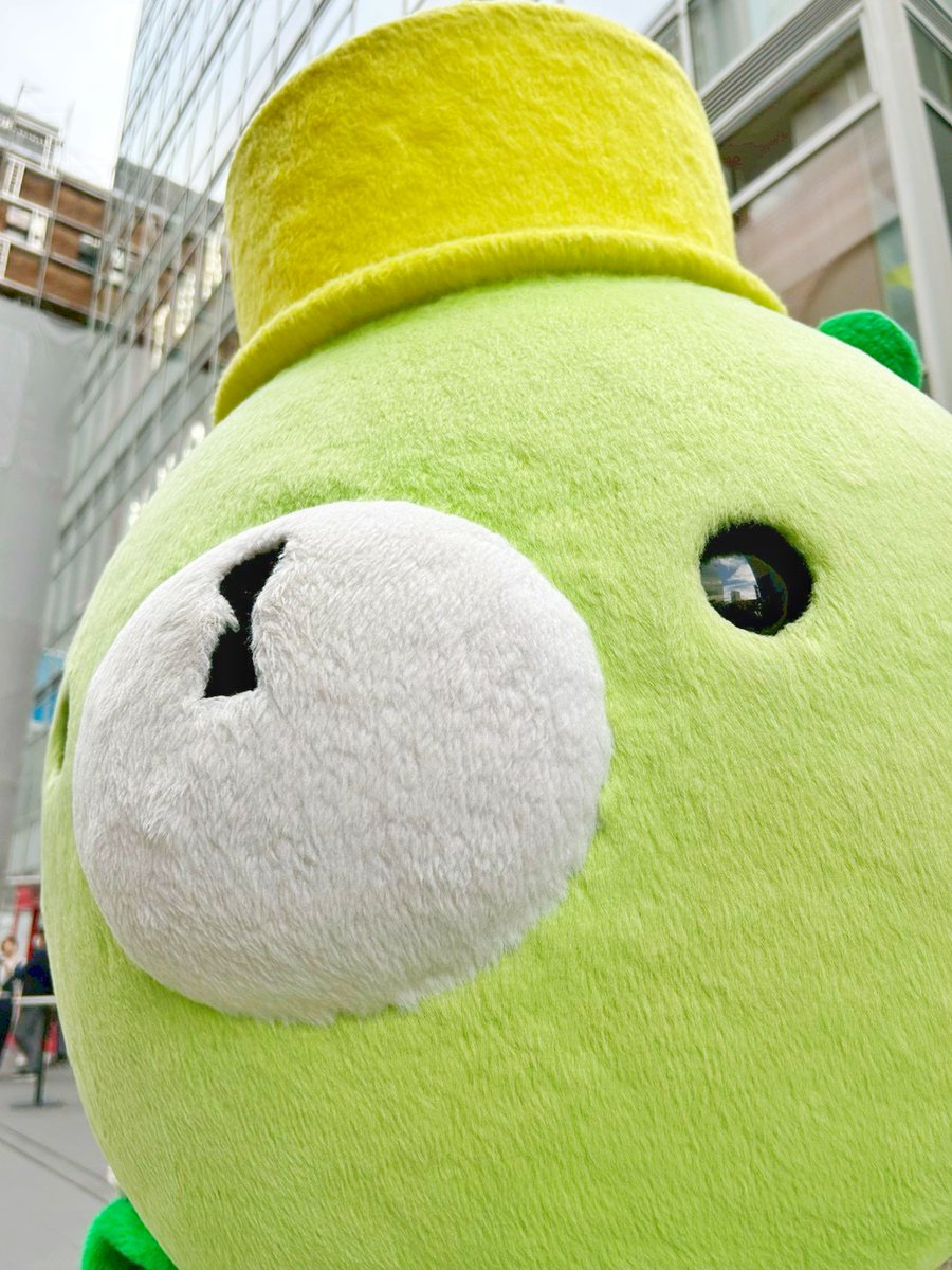 \本日 #くまっキー 出勤します/

▼本日のお散歩時間
だいたい9:25〜9:55
だいたい11:00〜11:30
だいたい13:00〜13:30
だいたい15:00〜15:30

新作イベント #108くまっキー 
と合わせて是非ご来場ください🧸✨

#東京ミステリーサーカス