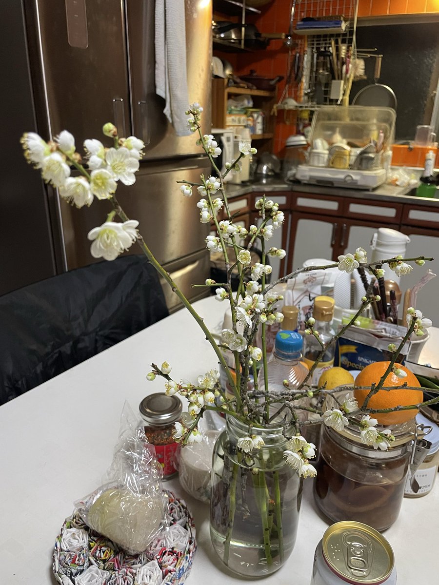 剪定した梅
リビングに置いて一週間
満開☺️