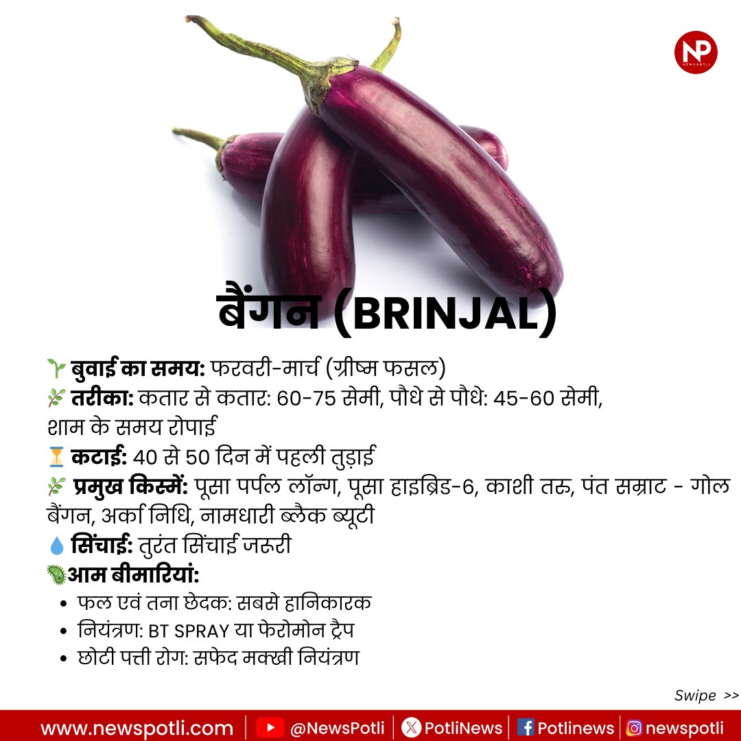 PotliNews's tweet image. फरवरी - मार्च में लगाएं ये सब्जियां 

#vegetables #farming