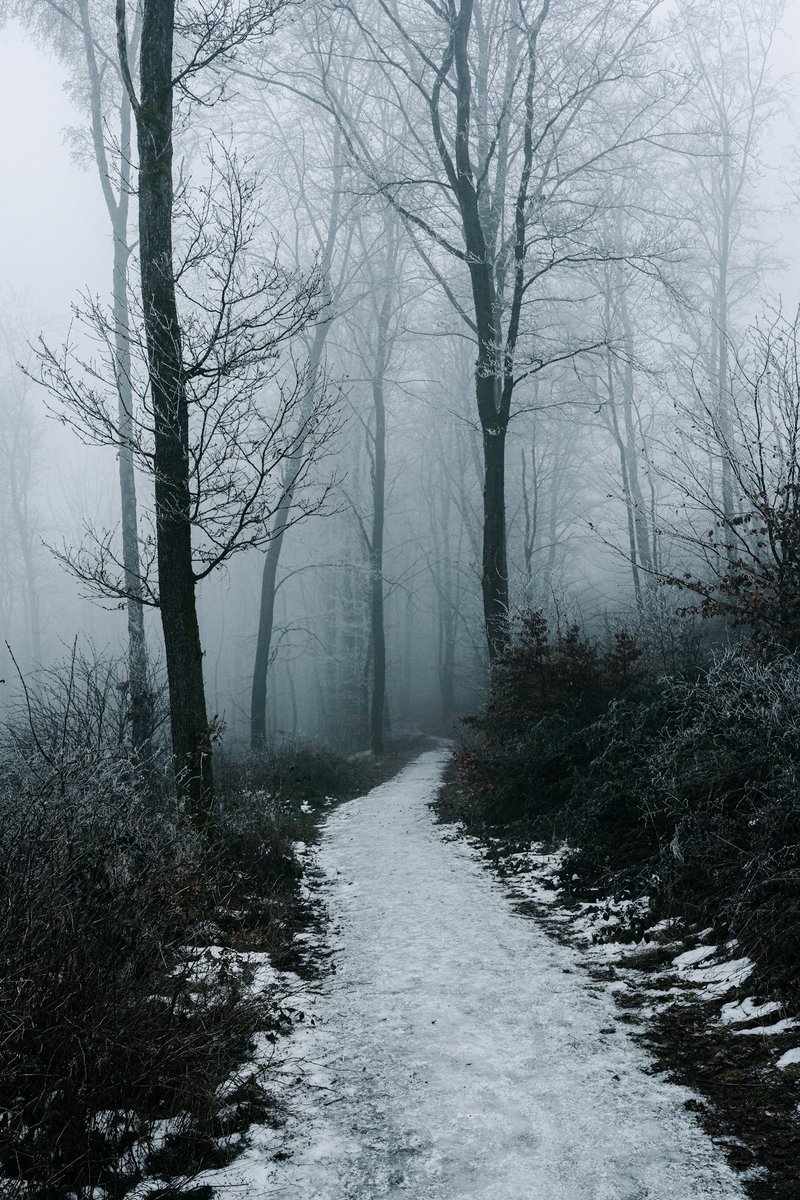 Happy Saturday.
#NaturePhotography #quhl5