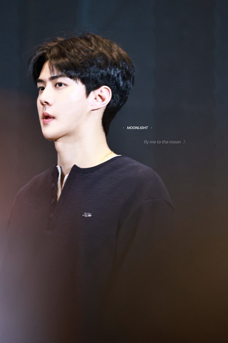 Moonlight_sh tweet media