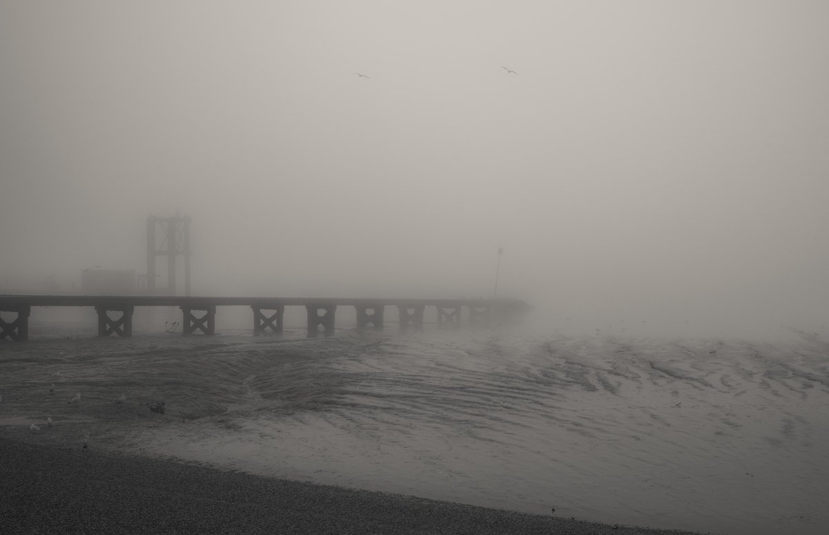 Lonely walks by the water