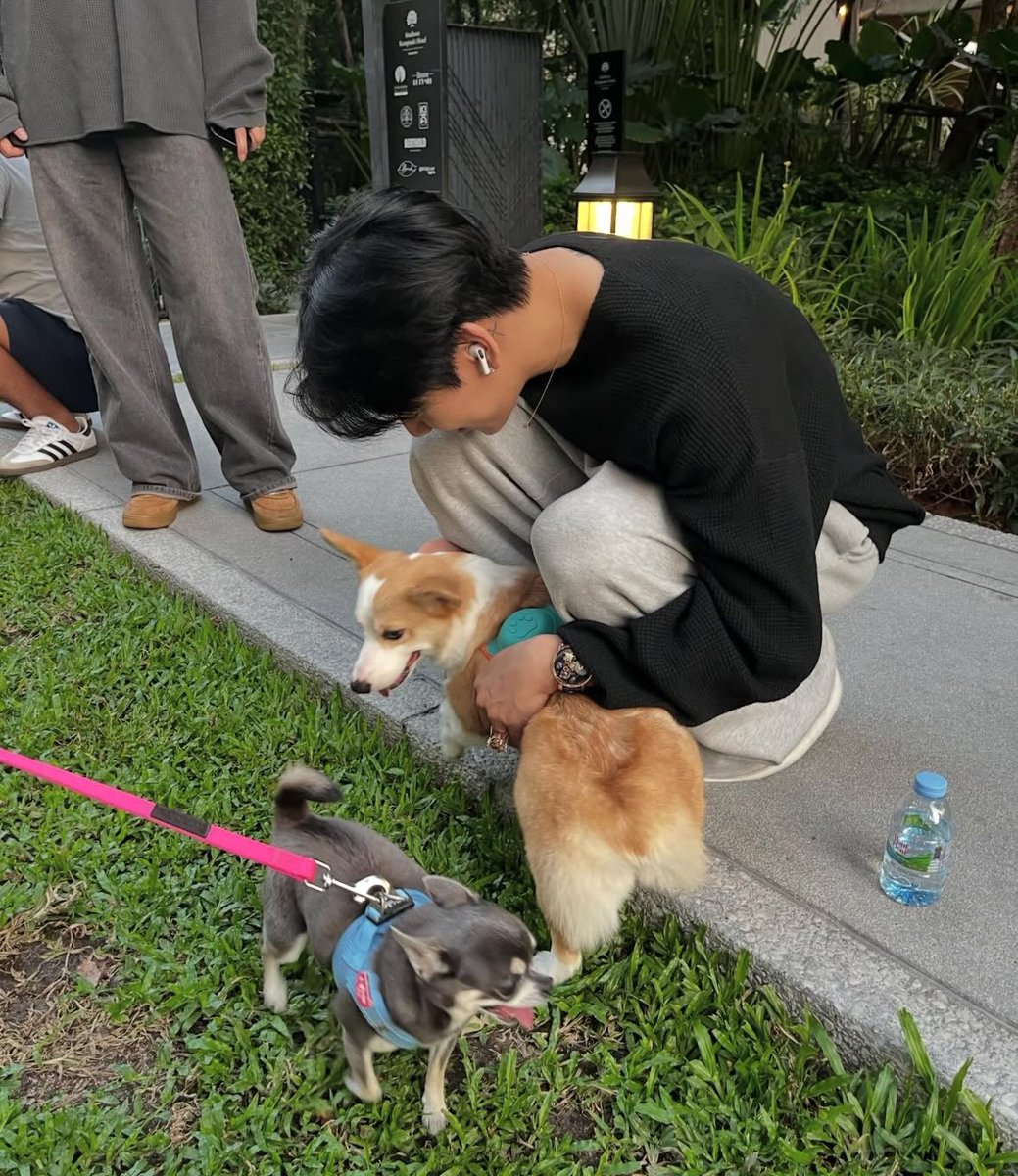 อยากเป็นหมาคาบแหวนกับนาฬิกาอ้วน 5555555