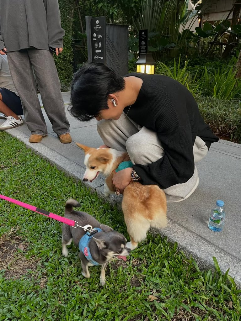 260207 | BamBam’s IG Update 

🐶🦮🐾🥹

#BamBam #뱀뱀 <a href="/BamBam1A/">BamBam</a> 
<a href="/BAMBAMxBAMMIE/">뱀뱀 BamBam</a>