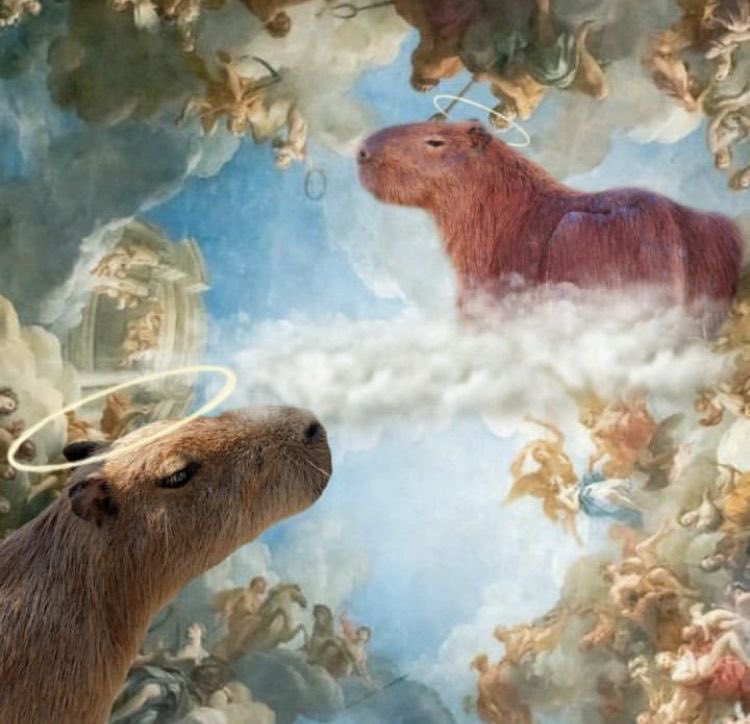 happ2capybara's tweet image. 이 세상은 사실 카피바라가 창조한 것이다
네가 먹고있는 비냉도 카피바라가 비벼준 것이다