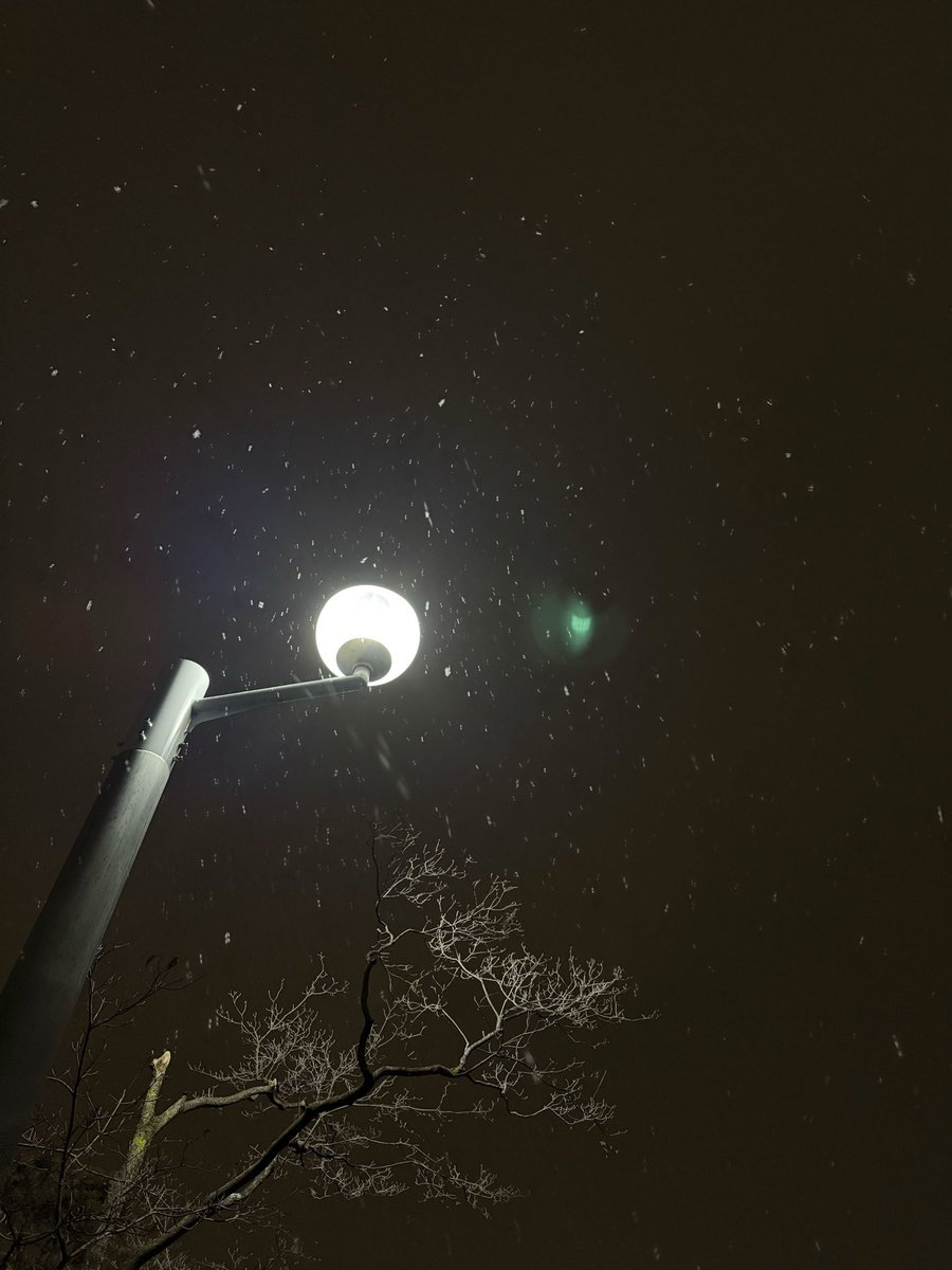 誕生日おめでとう。
I’m finally 22. 🤍❄️