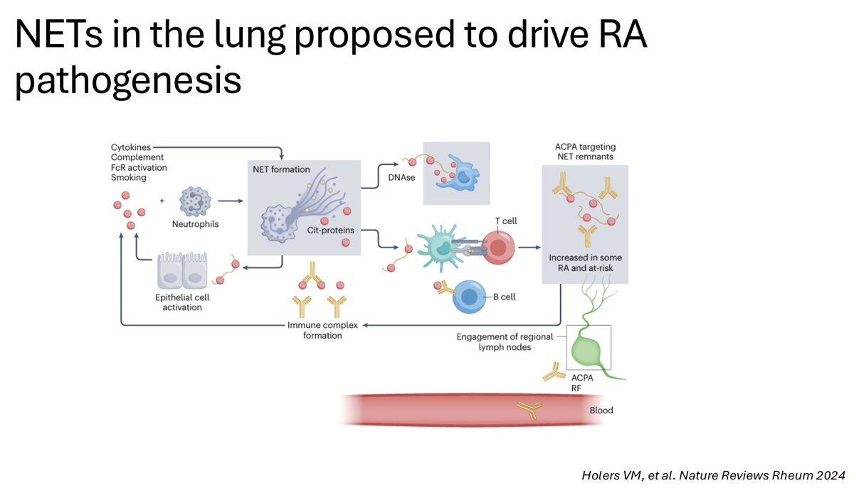Mike Putman tweet media