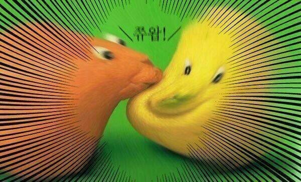 민들레 tweet media