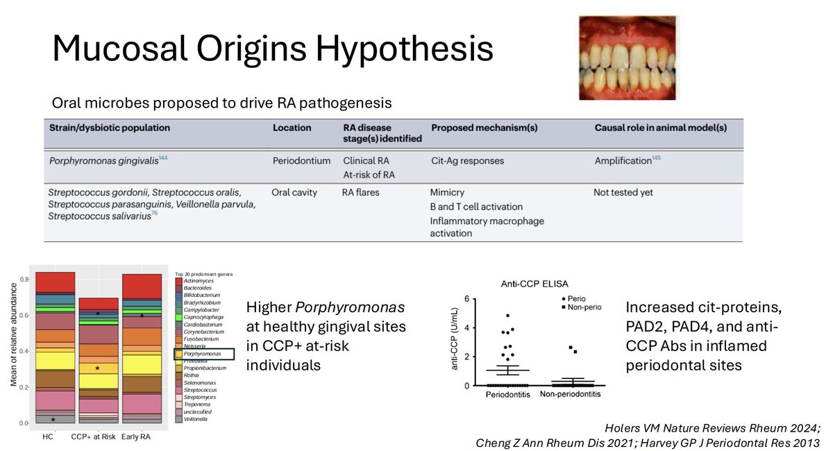 Mike Putman tweet media