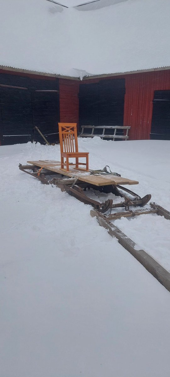 Pinus Sylvestris tweet media