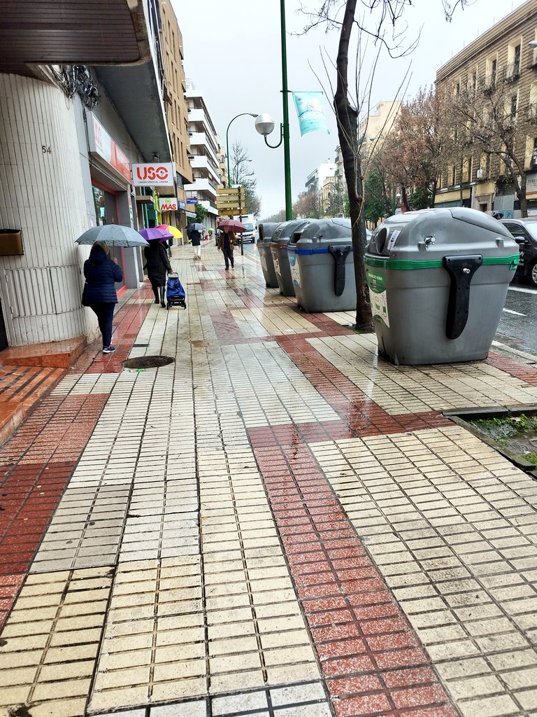 Poco se habla de que con lluvia la Av. Menéndez Pelayo se convierte en una auténtica gincana por la Puerta de la Carne y una acera de 5m de reduce a medio metro por los charcos que parecen lagunas. 🌧️

#SevillaHoy