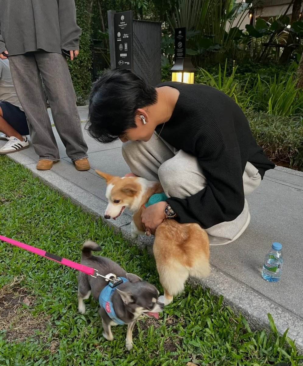 น่ารักกก..🥰😍
🐶🦮🐾🥹
BamBam #뱀뱀 <a href="/BamBam1A/">BamBam</a>
BamBam’s IG Update
instagram.com/p/DUdI-cJj72h/…