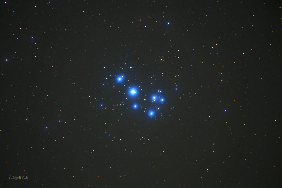 過去写真「すばる✨️」
お気に入り写真😊

すばるって
色んな呼び名があるんだよ？

てんとう虫、ひよっこたち
ホタルの群れ、羽子板星
ごちゃごちゃ星
ビンタンブルブル（笑）
#すばる  #М45 #Pleiades #starrysky #JAPAN #풍경 #写真 #photography  #snap #キリトリセカイ #CANON #一眼レフ #清里