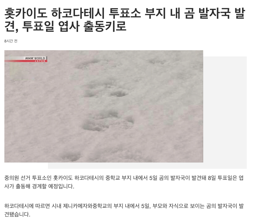 일본 중의원선 D-1