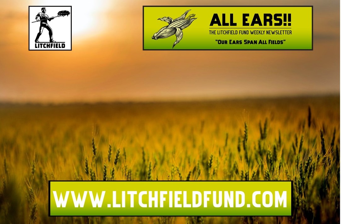 The Litchfield Fund tweet media