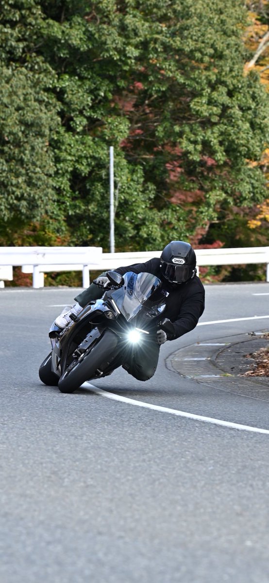 たけし tweet media