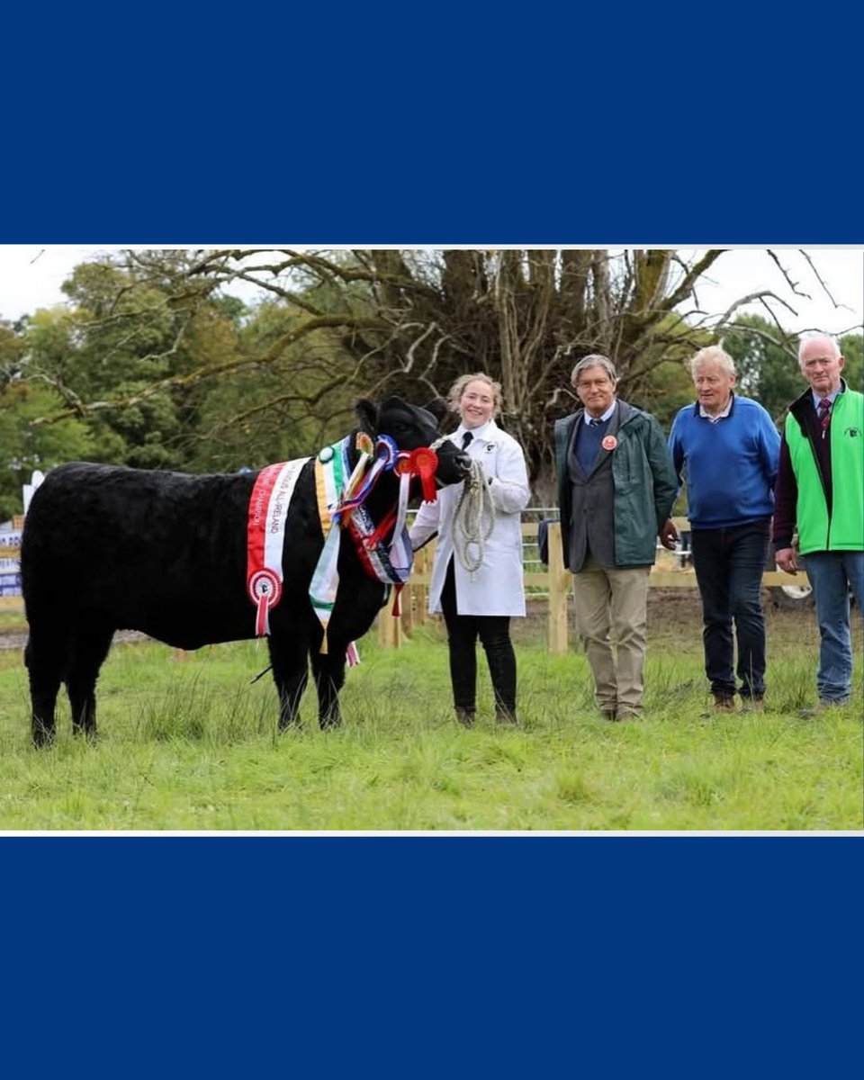 Prestige Beef tweet media