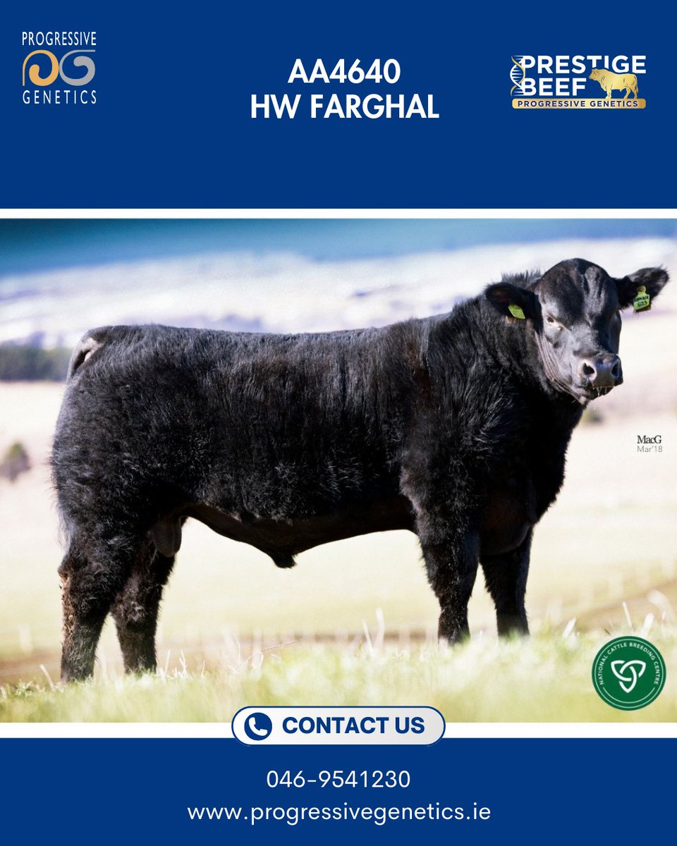 Prestige Beef tweet media