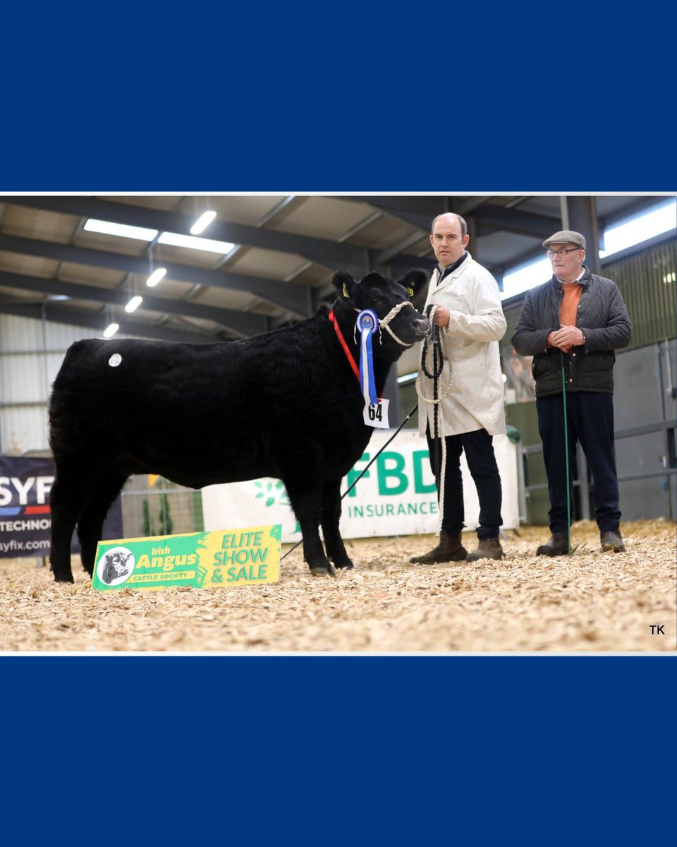 Prestige Beef tweet media